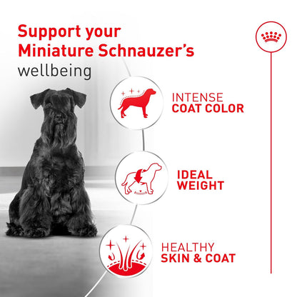 Royal Canin Croquetas para Schnauzer, 4.53 kg (El empaque puede variar)