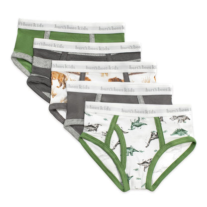 Burt's Bees Baby Ropa Interior de Algodón Orgánico para Niño, Paquete de 5 - 4-5 Años - Happy Herbívoros