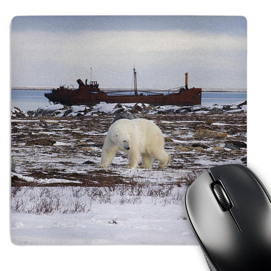 3dRose Polar Bear, Ursus Maritimus, Hudson Bay Canada - Alfombrilla de mouse, 8 por 8" (mp_37669_1)