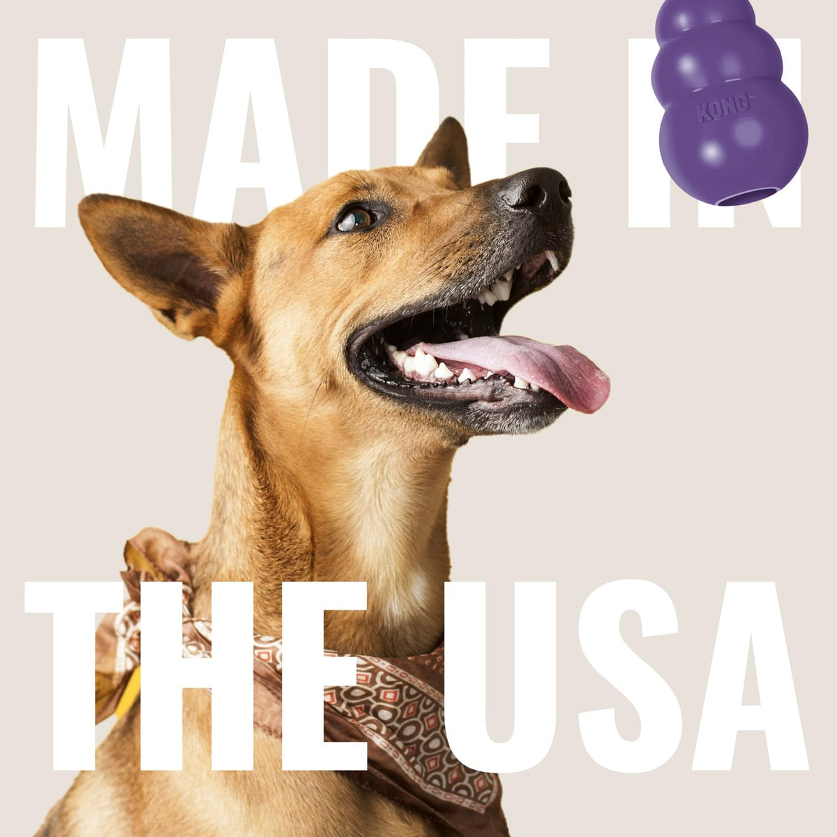 Kong Senior Kong Dog Toy, Large, Purple