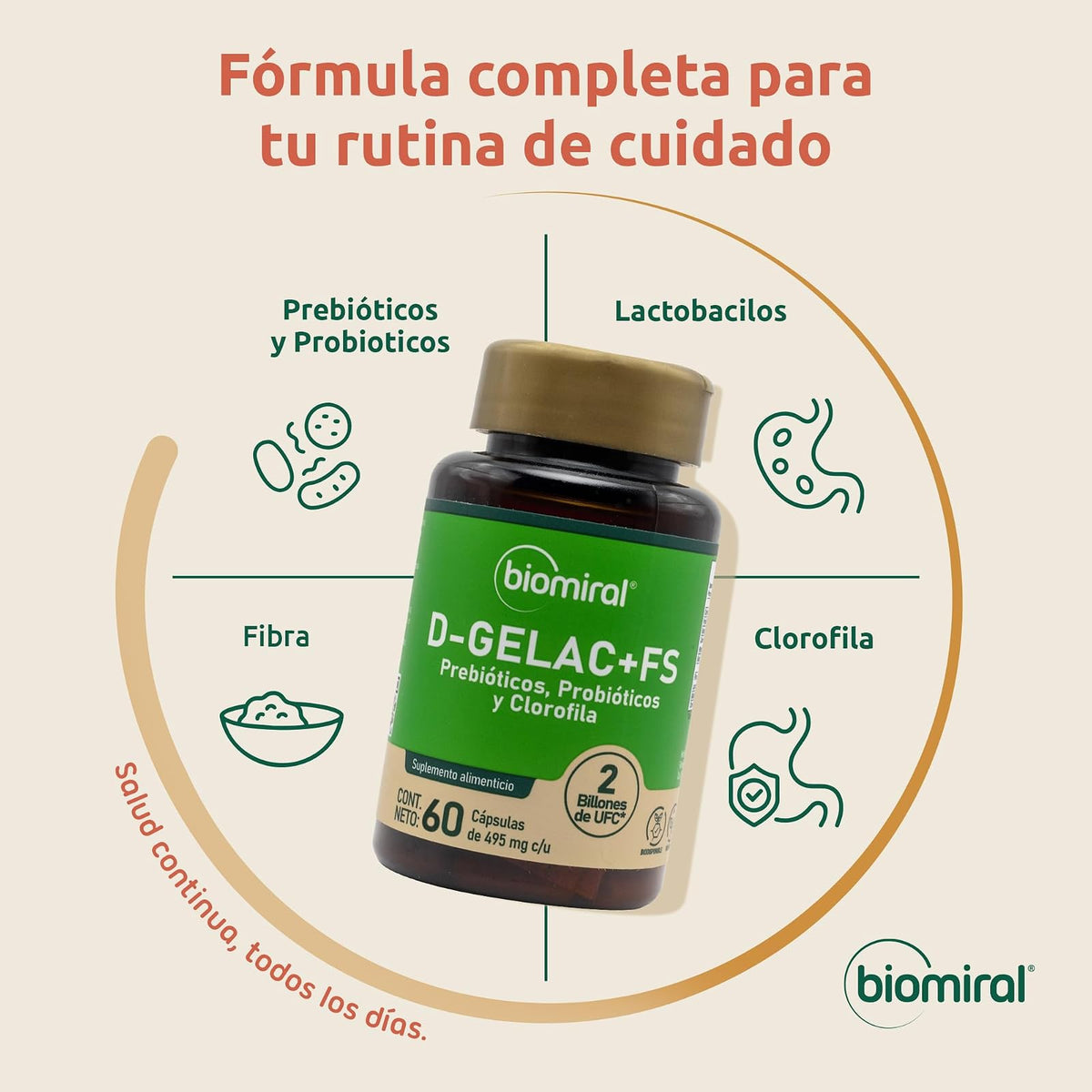 Biomiral D-Gelac+FS Probioticos y Prebioticos, 60 Capsulas | Clorofila, Fibra y Lactobacilos, 495 mg, 2 Billones de UFC, Libre de OGM