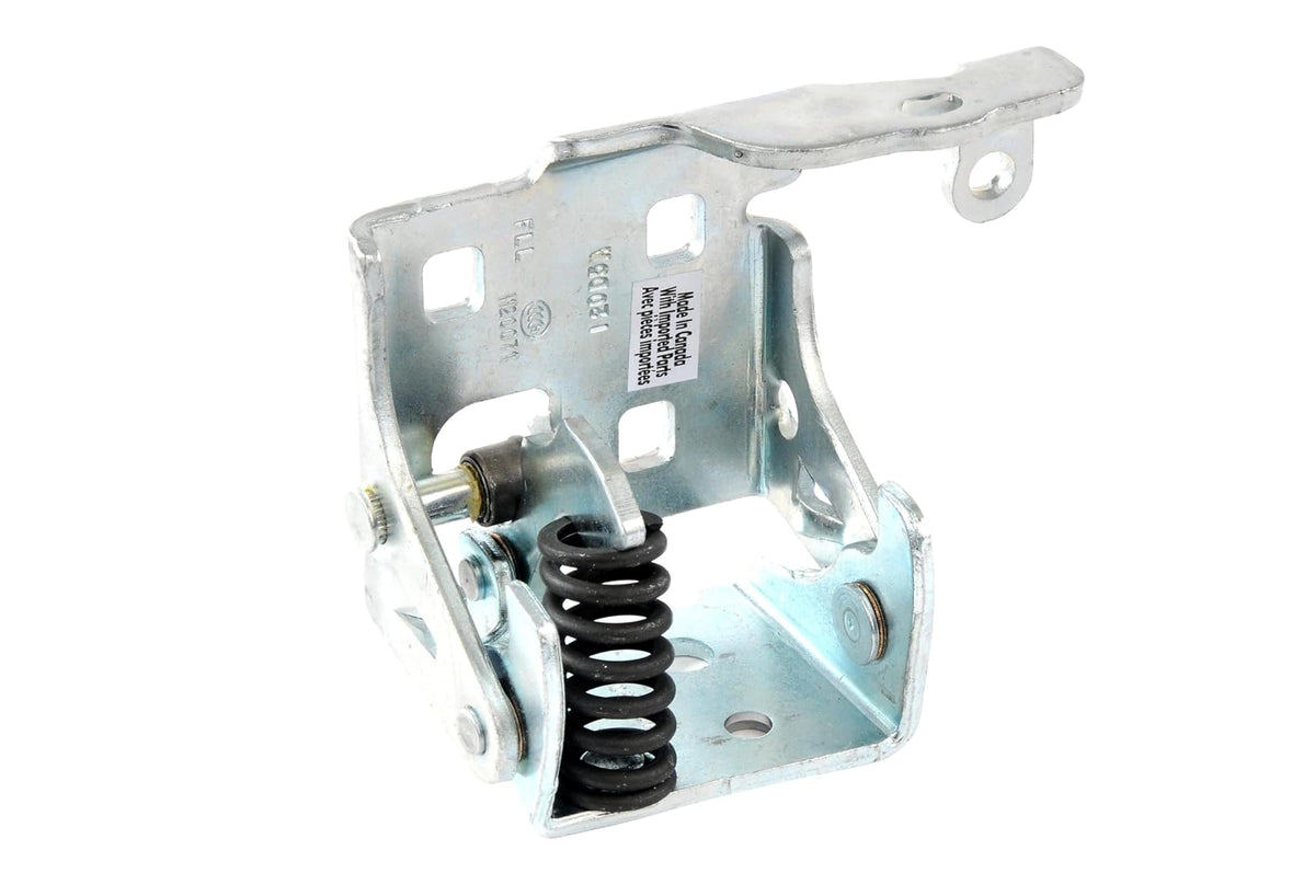 GM Genuine Parts Bisagra de Puerta Inferior Delantera del Lado del Conductor 20969645