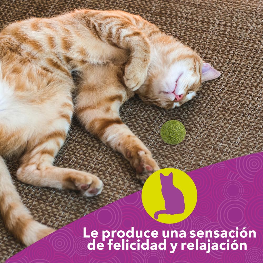 Fancy Pets Esferas de Catnip para Gato 3 Piezas de Catnip Natural para Juego Estimulación y Enriquecimiento Ambiental