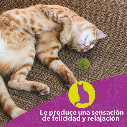 Fancy Pets Esferas de Catnip para Gato 3 Piezas de Catnip Natural para Juego Estimulación y Enriquecimiento Ambiental