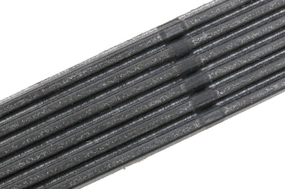 GM Parts 12669858 Banda Accesorios Motor Negro Serpentina Pequeño para Suburban/Silverado/Tahoe 20-22