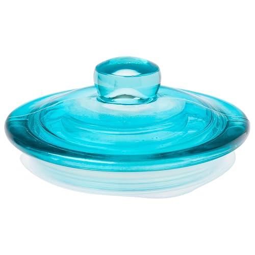 Silver Buffalo Disney Alicia en el País de las Maravillas Tarro de Vidrio | 30 oz, flores y champiñones, tapa azul, vidrio de alta calidad, solo lavado a mano