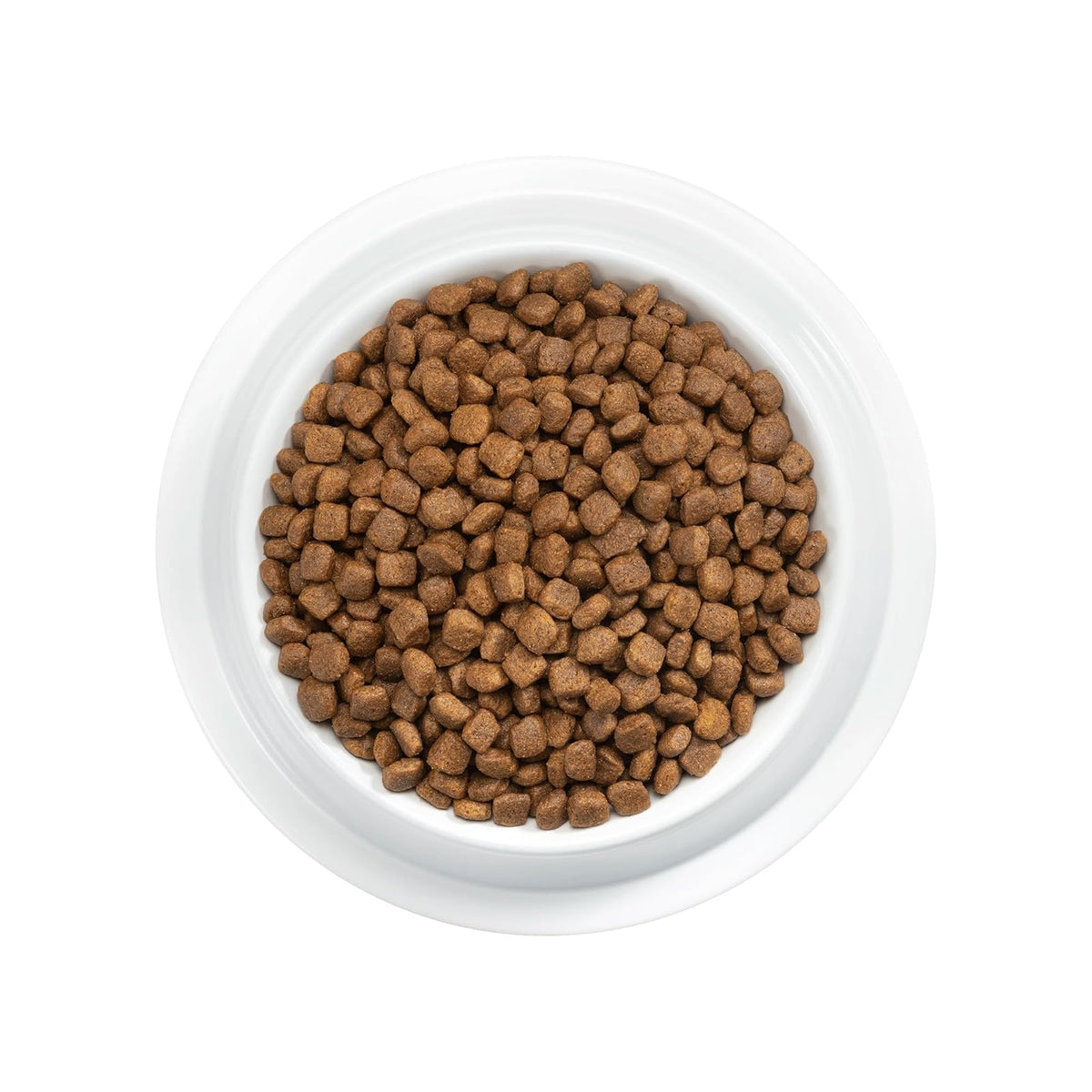 Purina Pro Plan Gatito Sabor Pollo 3Kg