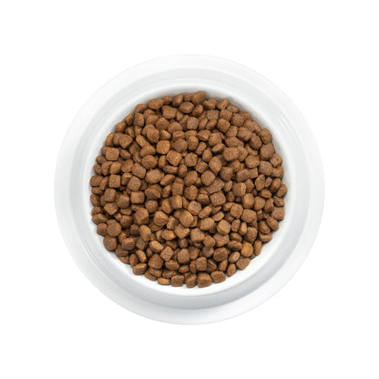 Purina Pro Plan Gatito Sabor Pollo 3Kg