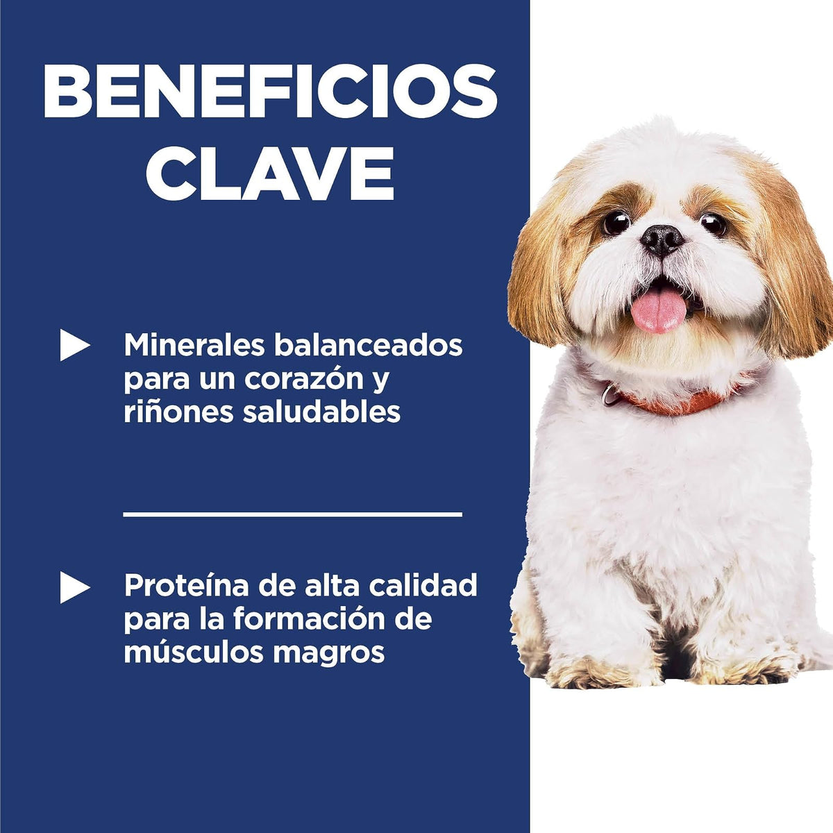 Hill's Science Diet Small Bites Croquetas para Perro Senior Pollo 6.8Kg | Croquetas Hill's para perro, pollo real, razas pequeñas, soporte envejecimiento, salud de corazón y riñones