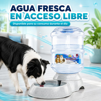 Hagen Fancy Pets Bebedero Para Perro o Gato Tamaño Grande de 3 Galones, 11.4 Litros