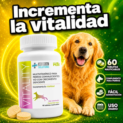 Fancy Pets Medical Solutions Complete Vitality Suplemento Alimenticio para Perros con Vitaminas Minerales L Taurina y L Metionina 60 Tabletas Masticables