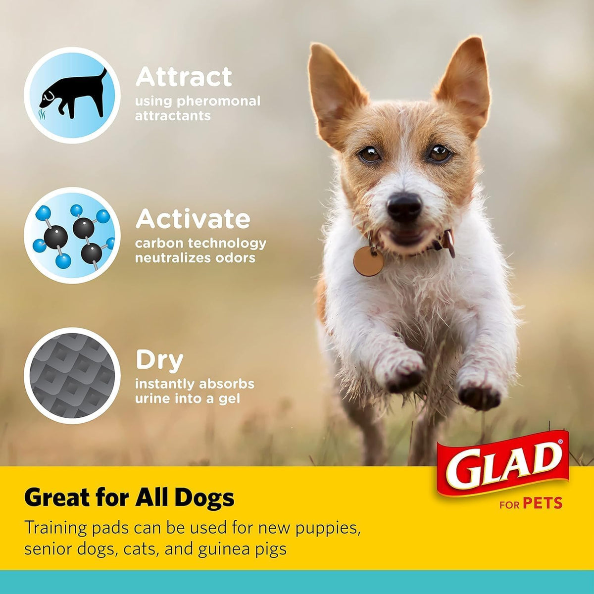 Glad for Pets - Almohadillas para Orejas de Entrenamiento de carbón Activado para Perros, tamaño pequeño, 17.5 x 23.5 Pulgadas, absorbentes de Olor, Almohadillas para Orejas de orina para Perros