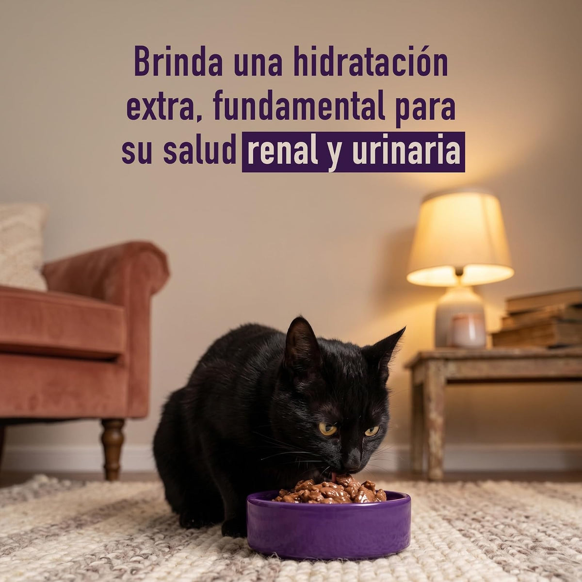 Zoopreme Cat CAMPI, Alimento Húmedo para Gato Adulto, Comida Prémium con 8% de Proteína, Sabor a Pollo, Caja con 20 Sobres
