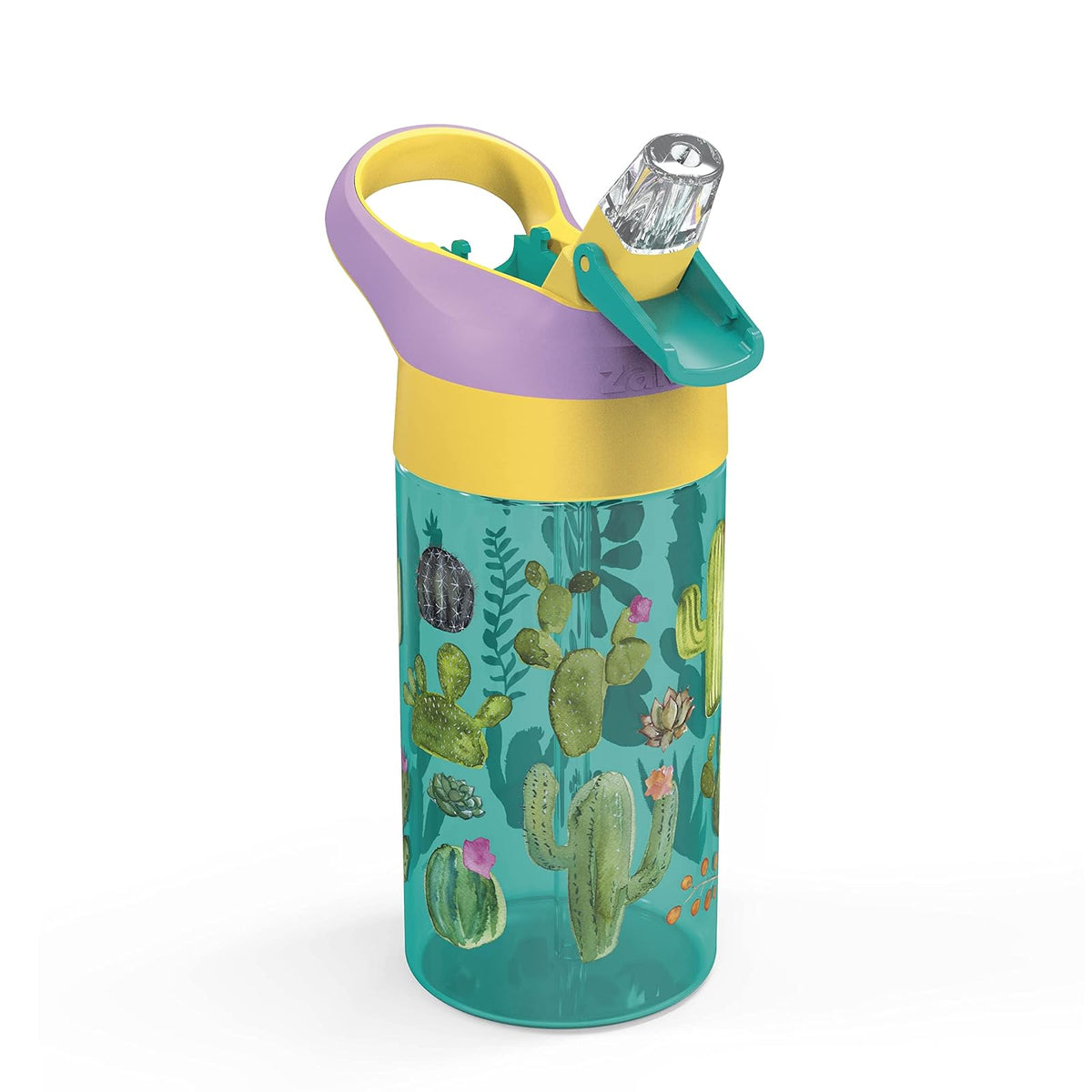 Zak Designs Riverside Desert Life - Botella de agua para niños de 16 onzas con popote y lazo de transporte integrado, hecha de plástico duradero, diseño a prueba de fugas para viajes, juego de 2 unidades