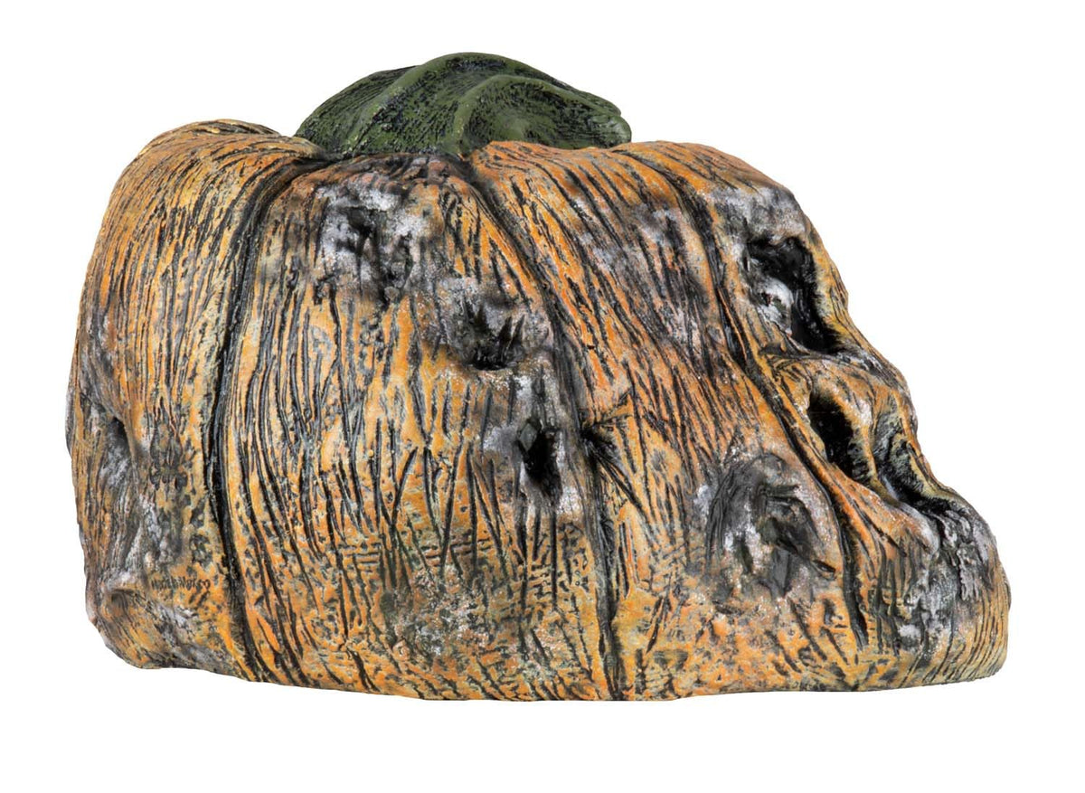 Ghoulish Productions Decoración De Látex Rotten Pumkin 6, Decoración De Calabazas Halloween, Calabazas Podridas Halloween, Ideal Para Usar En Fiestas De Halloween, Casa