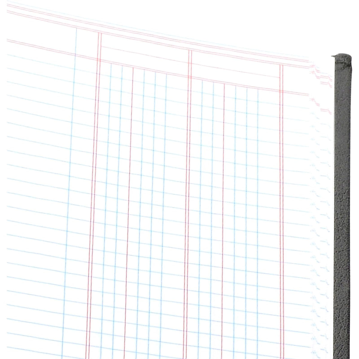 Wilson Jones Hardbound Accounting Journal, 9.25 x 7 Inches, 2 Columns, 80 Pages, 30 Lines per Page, Black (W74102A)