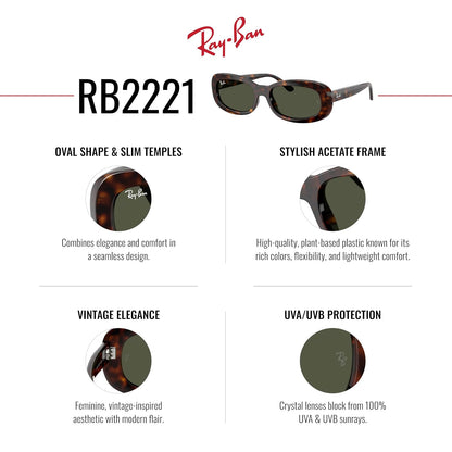 Ray-Ban Ray-Ban Evolution Gafas Unisex adulto
