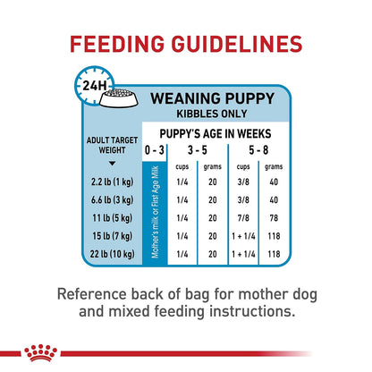 ROYAL CANIN - Alimento Starter para Perras Gestantes y Cachorros Talla Pequeña 1.13kg