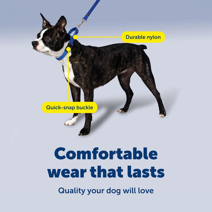 PetSafe Collar Martingale Hebilla de Cierre rpido, Grande, 2.54 cm, | Ajustable, Cómodo, Abertura para la correa