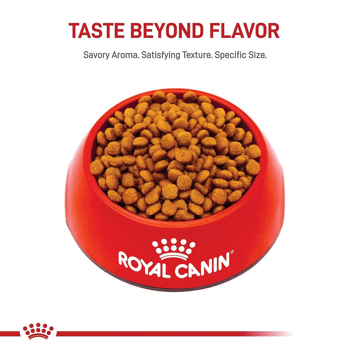 ROYAL CANIN, Puppy - Mini Schnauzer, Croquetas Perro, 1.1kg