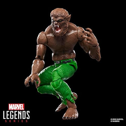 Marvel Legends Werewolf by Night Jack Russell Figura 15 cm | Marvel Legends Figura de acción de 6 pulgadas BAF Verdugo - Hombre lobo de noche