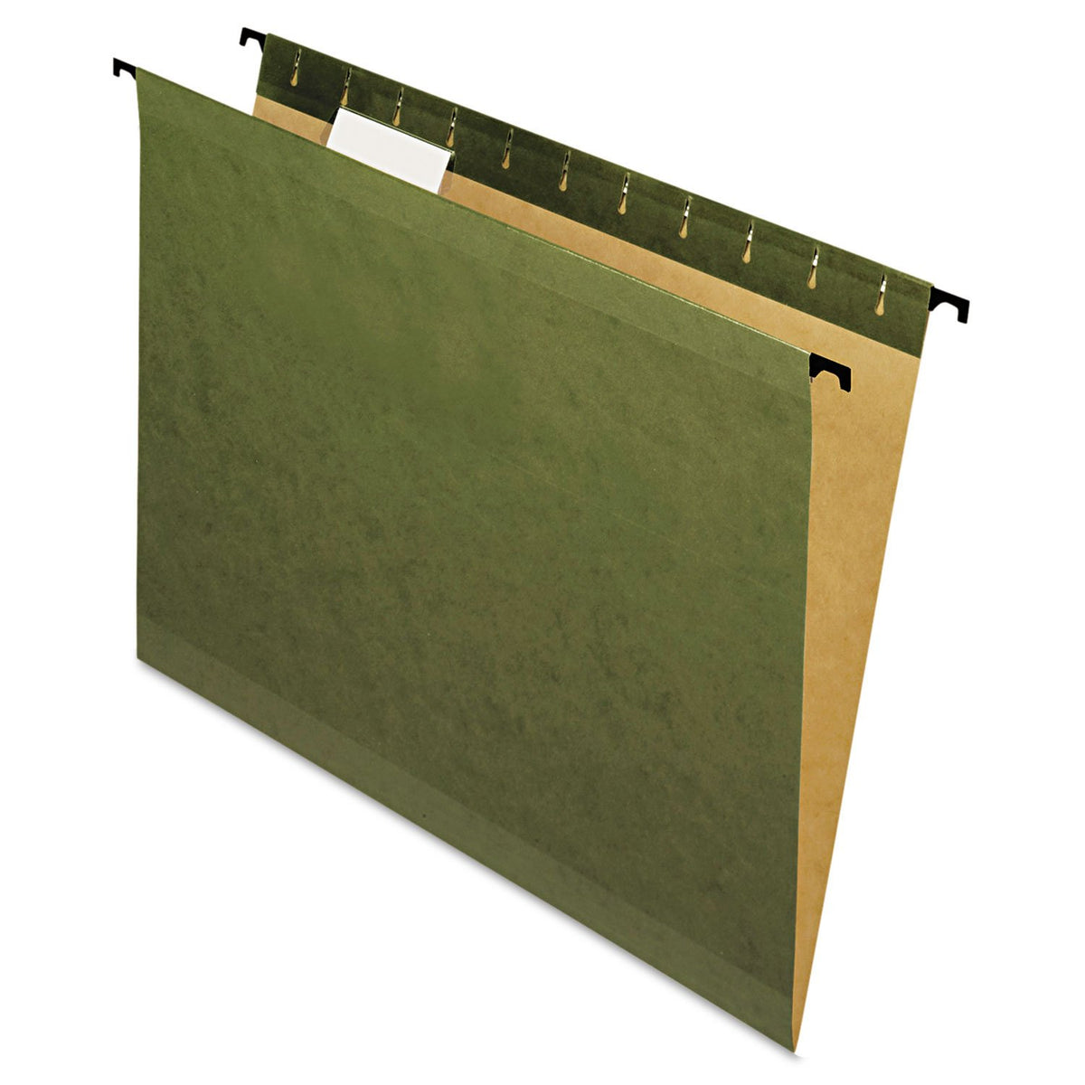 Pendaflex SureHook - Carpetas para colgar reforzadas, tamaño carta, color verde estándar, 20 por caja (6152 1/5)