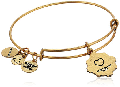 Alex and Ani - Brazalete para mujer, diseño con texto en inglés "Because I Love You, Sister", color dorado, expandible
