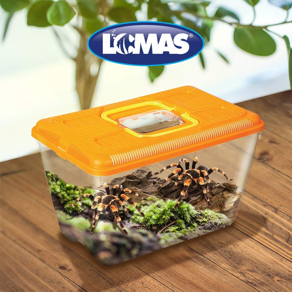 Lomas Mascotera Mediana para Pequeñas Especies 32.5 x 21 x 20 cm – Transportadora de Plástico con Ventilación y Tapa de Acceso
