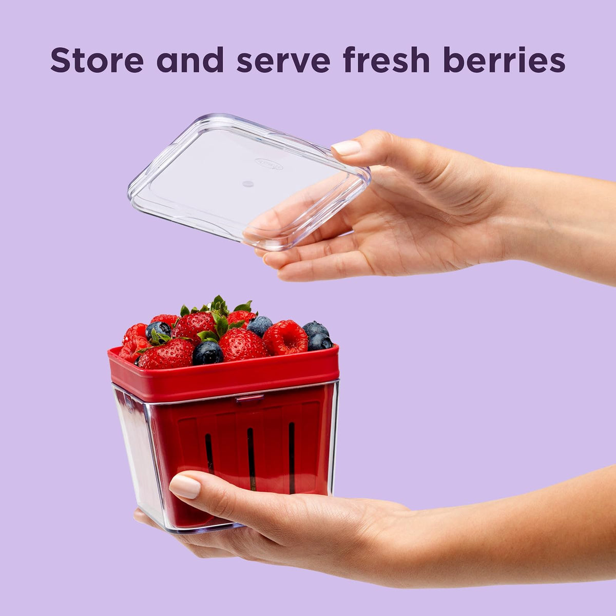 Chef'n Bramble Berry Basket and Colander, 1-Quart, Cherry