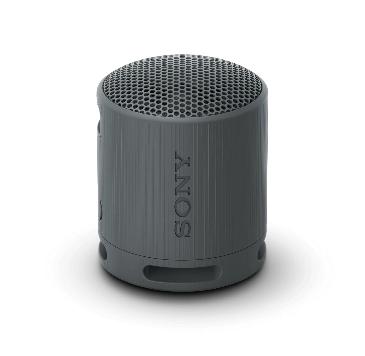 Sony Bocina Inalámbrica Portátil XB100, Sonido Potente, 16 Horas de Batería - Black
