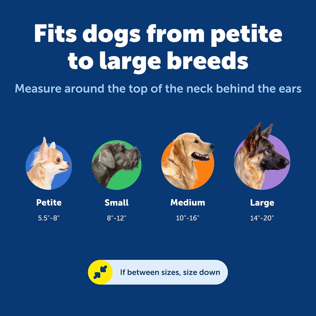 PetSafe Martingale Collar 1" Large, Red