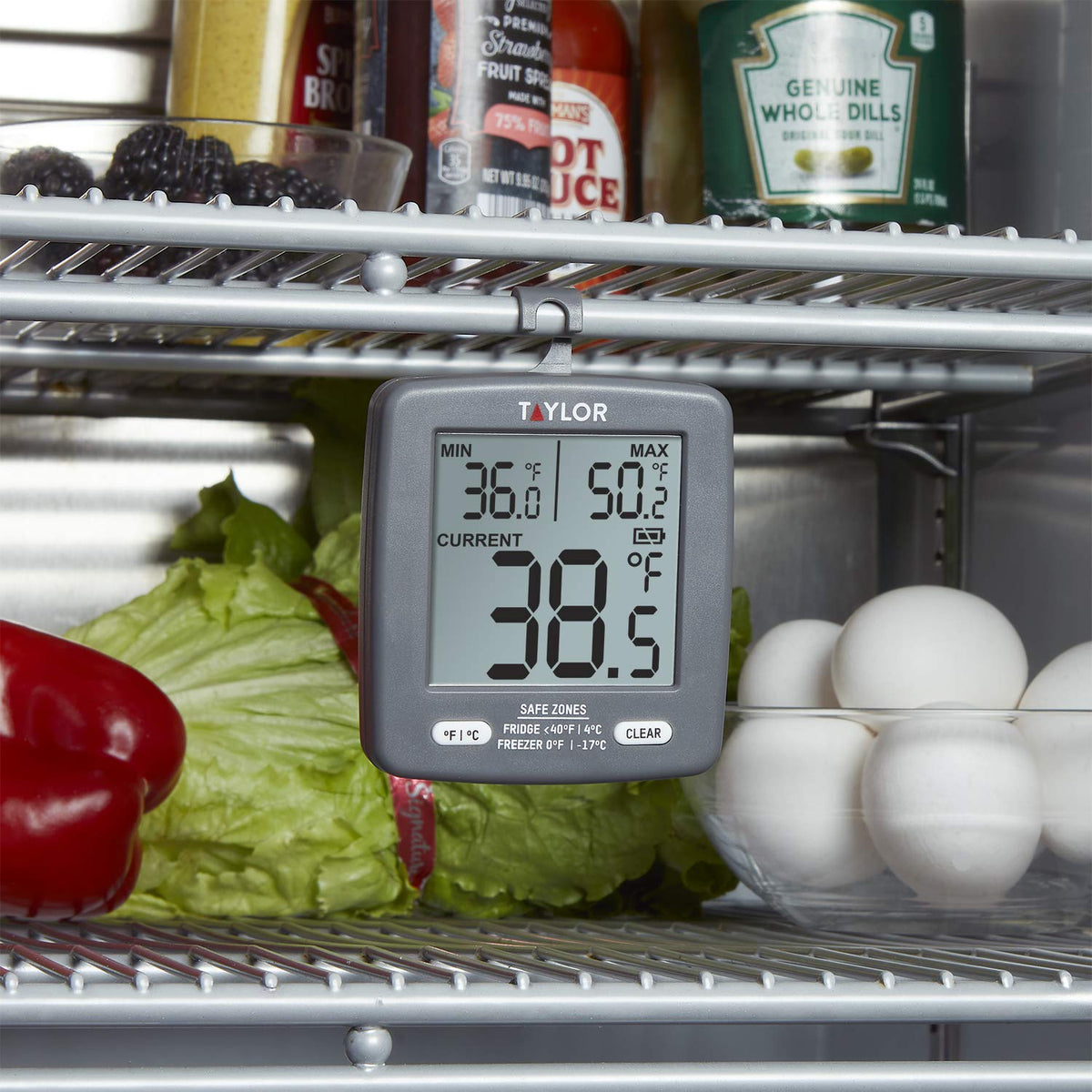 Taylor - Termómetro digital para cocina, refrigerador/congelador de cocina, min/máximo en la visualización, visualización de 2 pulgadas, gris, 1 unidad (paquete de 1)