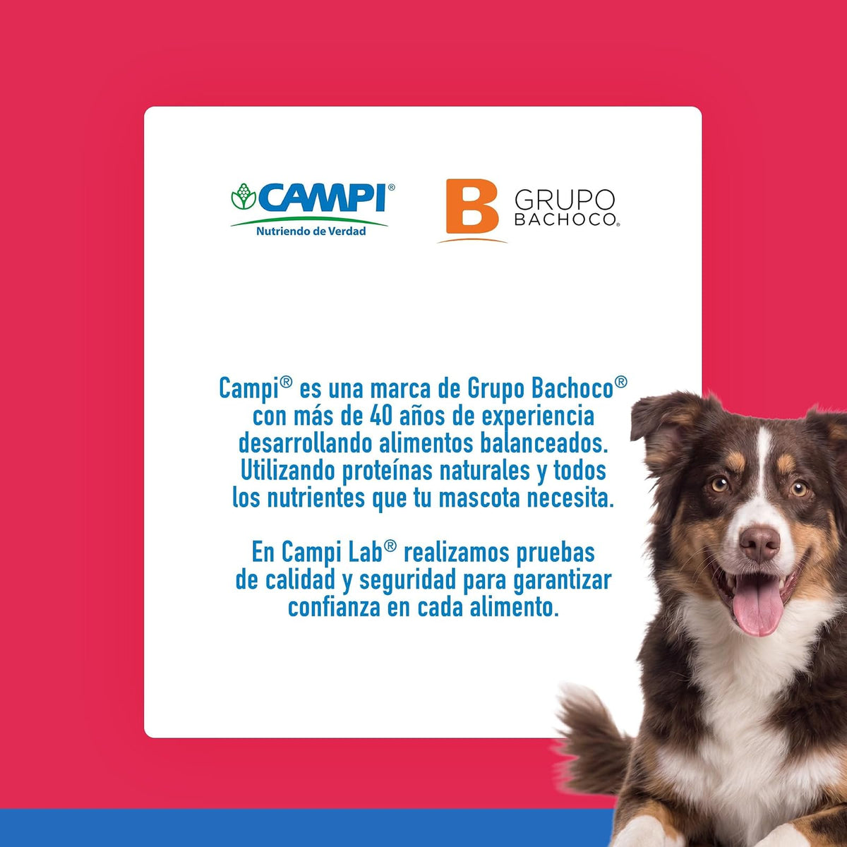 Pearl's Pure Nutrition CAMPI, Premios para Perro, Hígado de Res Liofilizado, 100% Natural, Contienen 63% de Proteína, 100 g