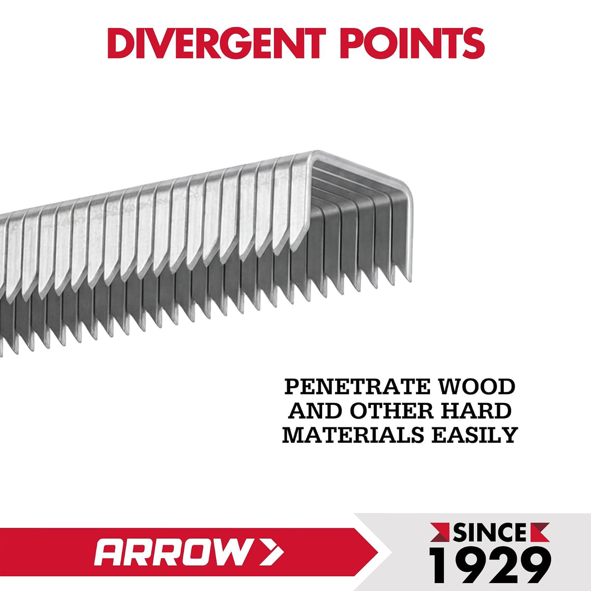 Arrow Fastener 504IP - Grapas T50 resistentes para tapicería, construcción, muebles, manualidades, tamaño de corona de 3/8 pulgadas, longitud de pierna de 1/4 pulgadas, paquete de 5000