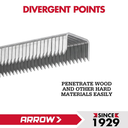Arrow Fastener 504IP - Grapas T50 resistentes para tapicería, construcción, muebles, manualidades, tamaño de corona de 3/8 pulgadas, longitud de pierna de 1/4 pulgadas, paquete de 5000