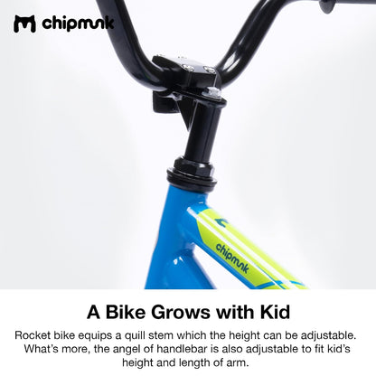 RoyalBaby - Bicicleta para niños pequeños de 12 a 14 a 16 a 18 pulgadas, para principiantes y niñas de 3 a 11 años, múltiples opciones de color