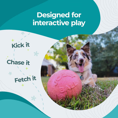 Jolly Pets Bounce-n-Play - Pelota de Juguete para Perro, 6 Pulgadas, Rosa, 6 Pulgadas/Mediano (2506 Unidades)