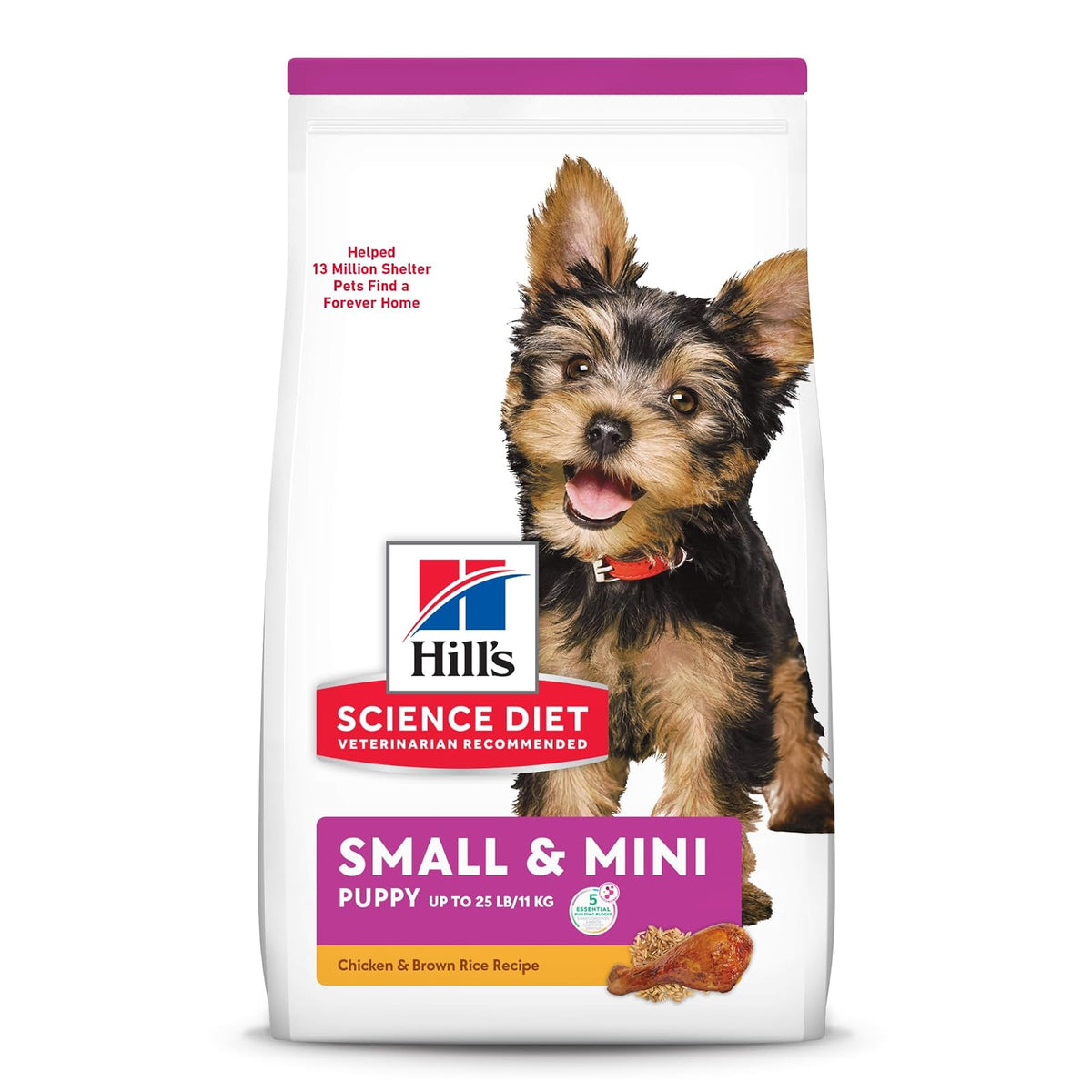 Hill's Science Diet Small Mini Croquetas para Cachorro Sabor Pollo 2Kg | Croquetas Hill's para perro, pollo real, razas pequeñas, crecimiento sano, desarrollo cerebral con DHA, soporte inmunológico