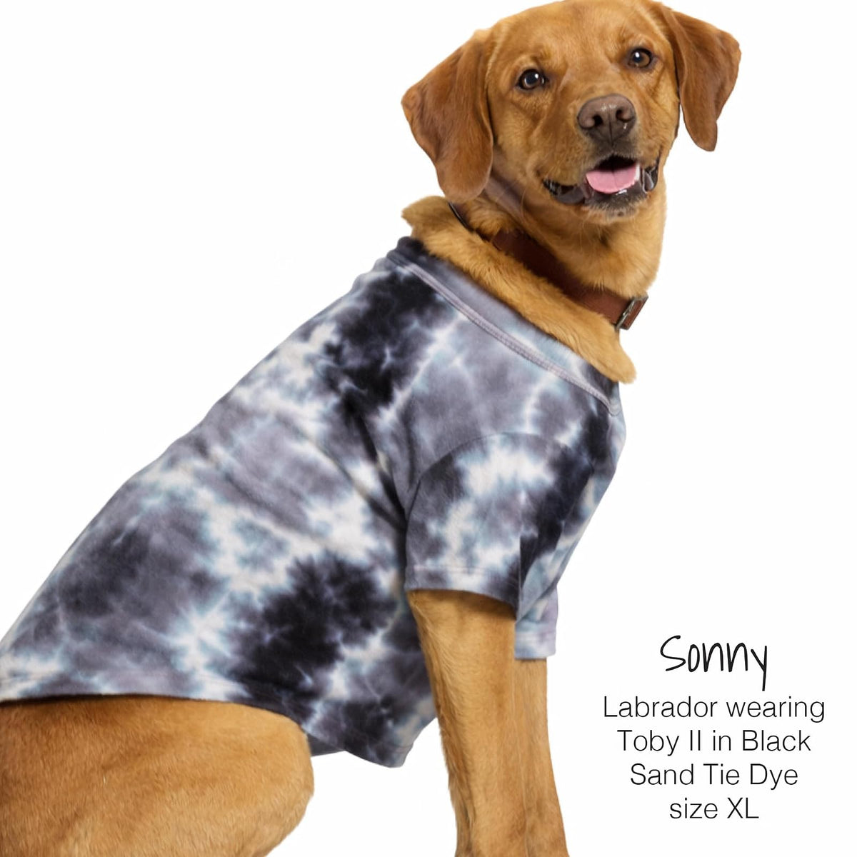 Pet Passion Toby II – La Playera Perfecta, Paquete de 3 Camisetas de Manga Corta para Mascotas, 100% algodón orgánico, Ropa para Perros pequeños, medianos y Grandes, teñido Anudado de Arena Negra, M