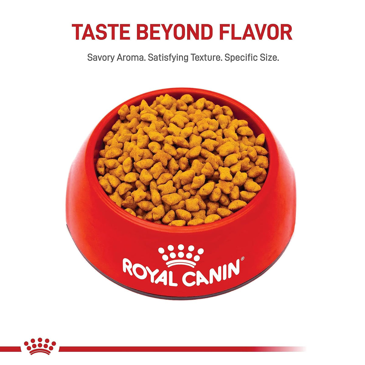 ROYAL CANIN Kitten para Gatito Esterilizado 1.1 Kg