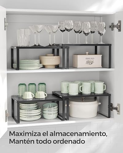 SONGMICS Especiero, Estante para Especias, Organizador para Armarios, Apilable, Ampliable, Juego de 2 Estantes Metálicos, Negro Tinta MKCS001B01