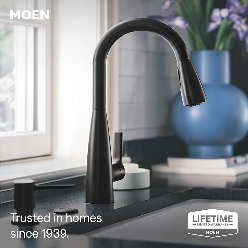 Moen 87627BL Mezcladora Cocina Haelyn 1H Negro
