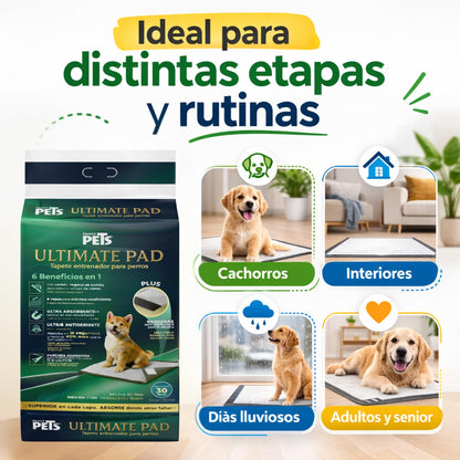 Fancy Pets Tapete Entrenador para Perros Ultimate Pad con Carbón Activado de Bambú Absorción Rápida Bordes Antiderrames Atrayente Integrado y Parches Adhesivos 56 x 50 cm - 30 PZ