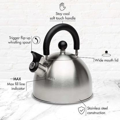 Primula Stewart - Hervidor de té de acero inoxidable de grado alimenticio, agua caliente rápida de hervir, plegable al tacto frío, 1.5 cuartos de galón, cepillado con mango negro