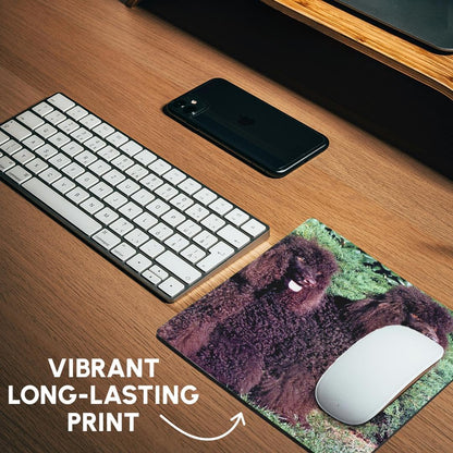 3dRose 8 x 8 x 0.25 Inches Irish Water Spaniel Mouse Pad (mp_991_1)