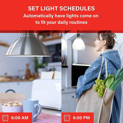 Sengled - foco de luz Alexa, bombillas inteligentes, bombillas inteligentes que funcionan con Alexa y Google Assistant, bombillas WiFi A19 de luz diurna (5000 K), no requiere concentrador, 800 lm