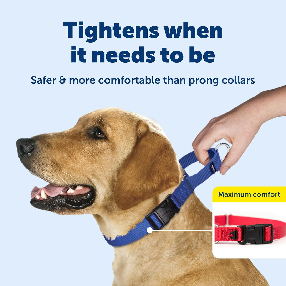 PetSafe Collar Martingale Hebilla de Cierre rpido, Grande, 2.54 cm, | Ajustable, Cómodo, Abertura para la correa