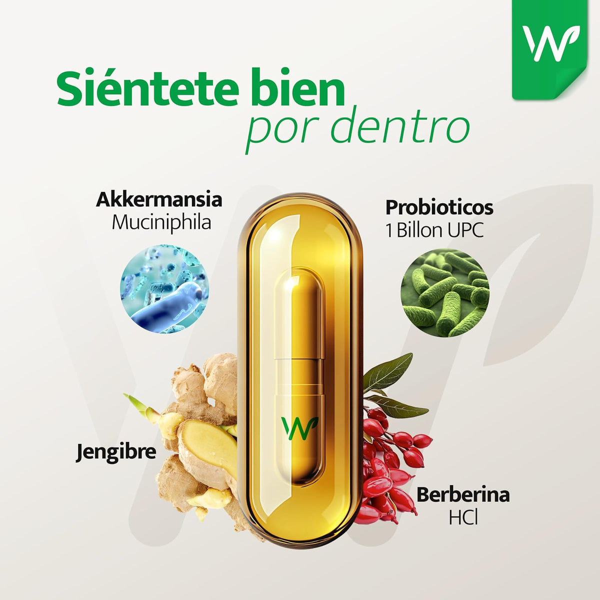 NW Probioticos GLP-1 Akkermansia Muciniphila1 Billon UFC con Jengibre & Berberina HCl, 120 capsulas | Antiinflamatorio
