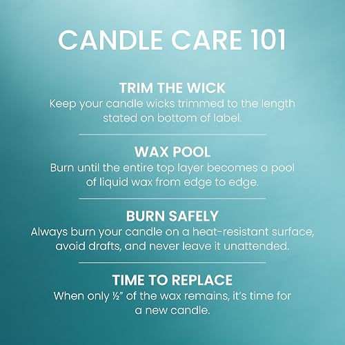 Yankee Candle - Vela perfumada en tarro grande con hasta 150 horas de tiempo de combustión, mezcla de cera de soja para una combustión más limpia y consistente, vela en tarro de 22 onzas con fragancia