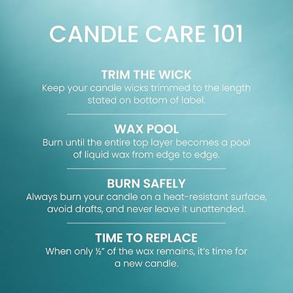 Yankee Candle - Vela perfumada en tarro grande con hasta 150 horas de tiempo de combustión, mezcla de cera de soja para una combustión más limpia y consistente, vela en tarro de 22 onzas con fragancia